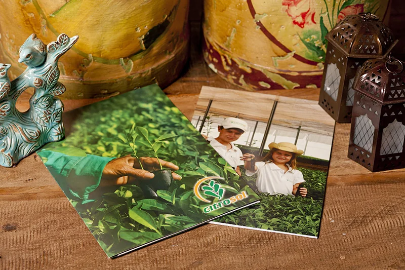 Folders verdes com fotografia impressa, sobre mesa de madeira com objetos decorativos